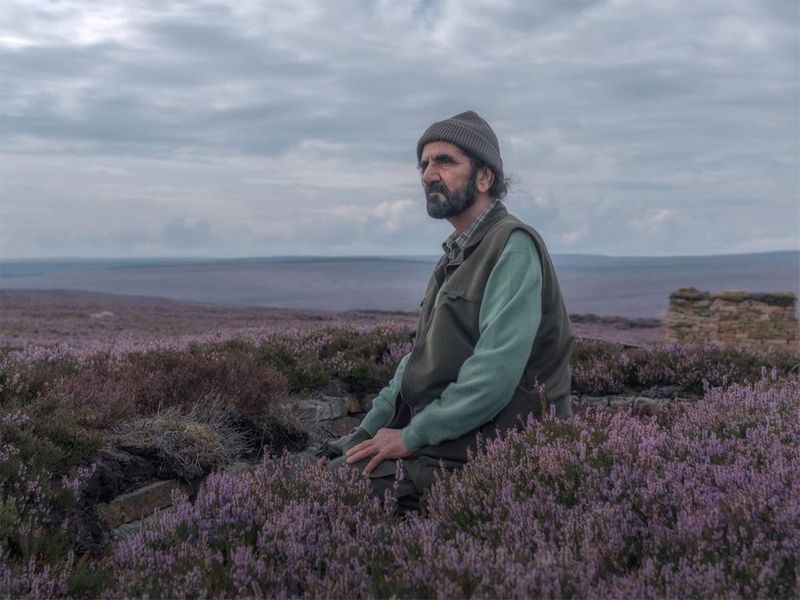 He shared photographs showing Sheikh Mohammed, other family members and friends spending time in heather fields, in the British county of Yorkshire.