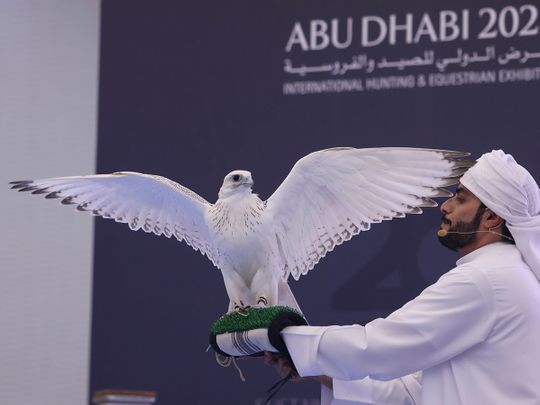 dh1m-falcon-auctioned-at-ADIHEX-2022-NEW-1664719992044