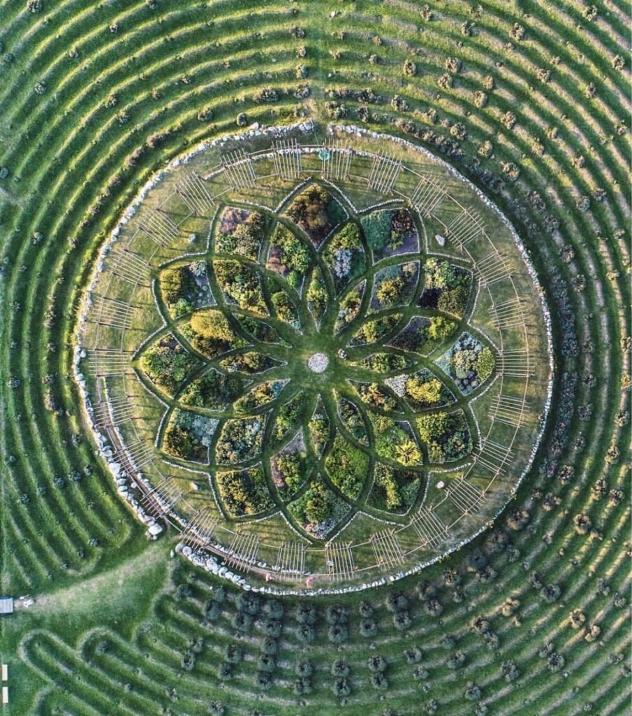 Lavender Labyrinth in Michigan